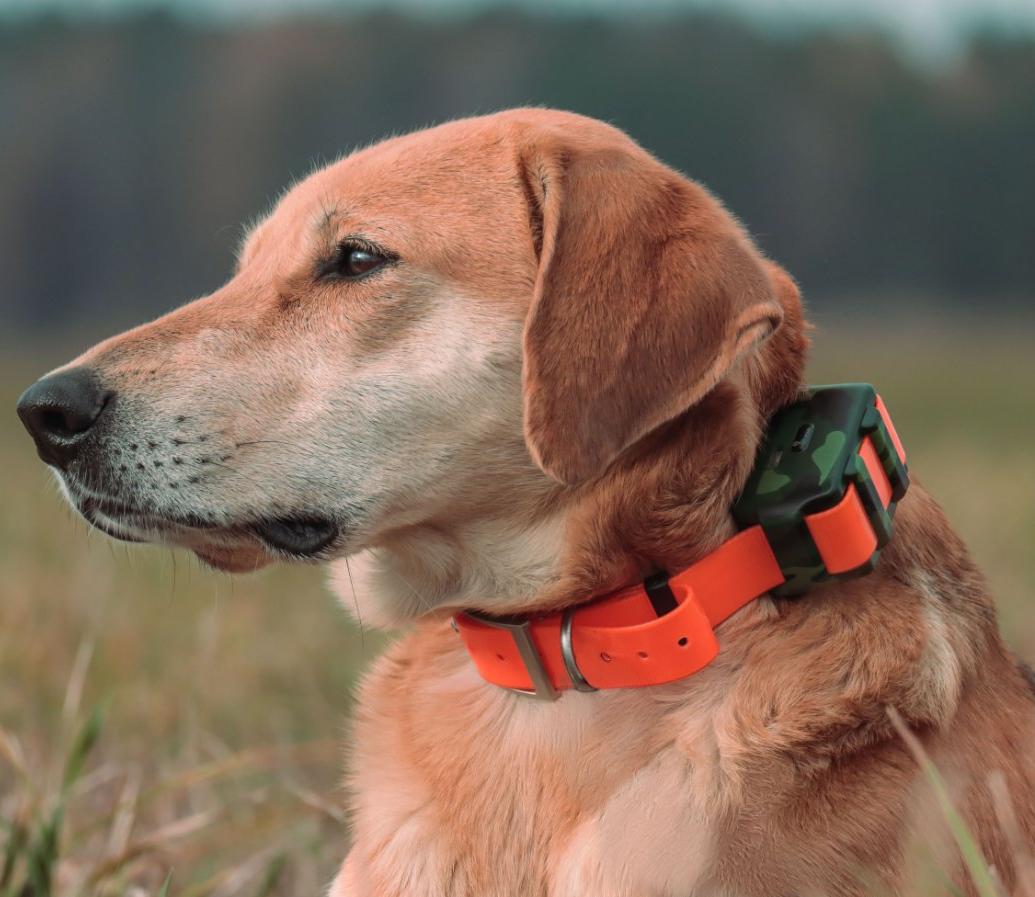 Outdoor Hunting Dog Collar - Wodoodporny lokalizator IP68 dla psów myśliwskich,