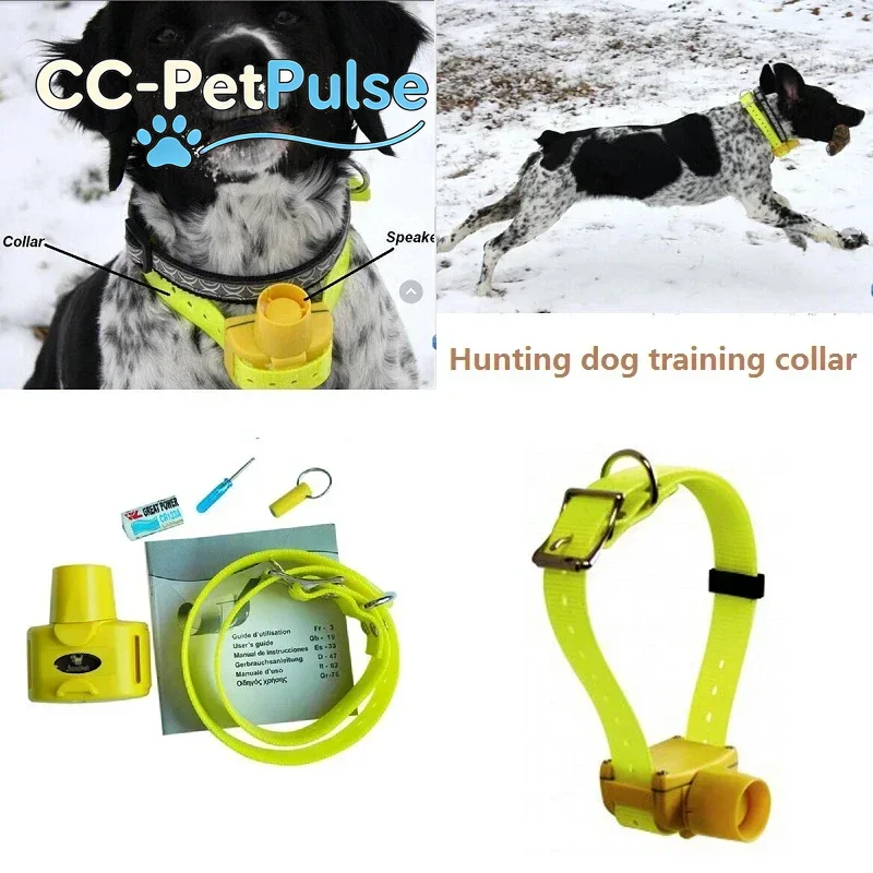 CC-PetPulse Wodoodporne obroże – Outdoor Hunting Dog Collar recenzja i cena