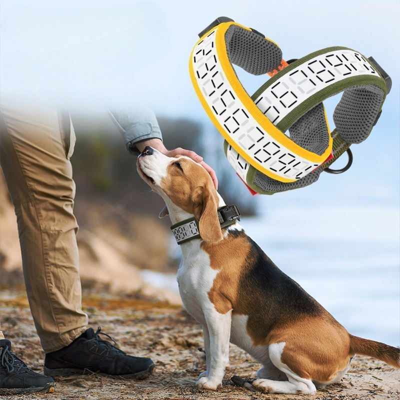 Odblaskowa obroża dla dużych p – Outdoor Hunting Dog Collar recenzja i cena