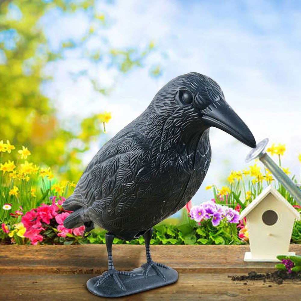 Outdoor Black Life Size Crow R – Hunting Outdoor Decor recenzja i cena