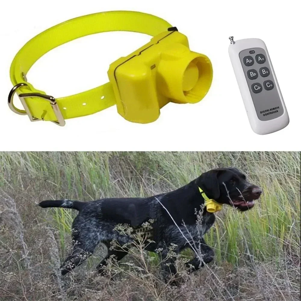 Ulepszona Wodoodporna Obroża z – Outdoor Hunting Dog Collar recenzja i cena