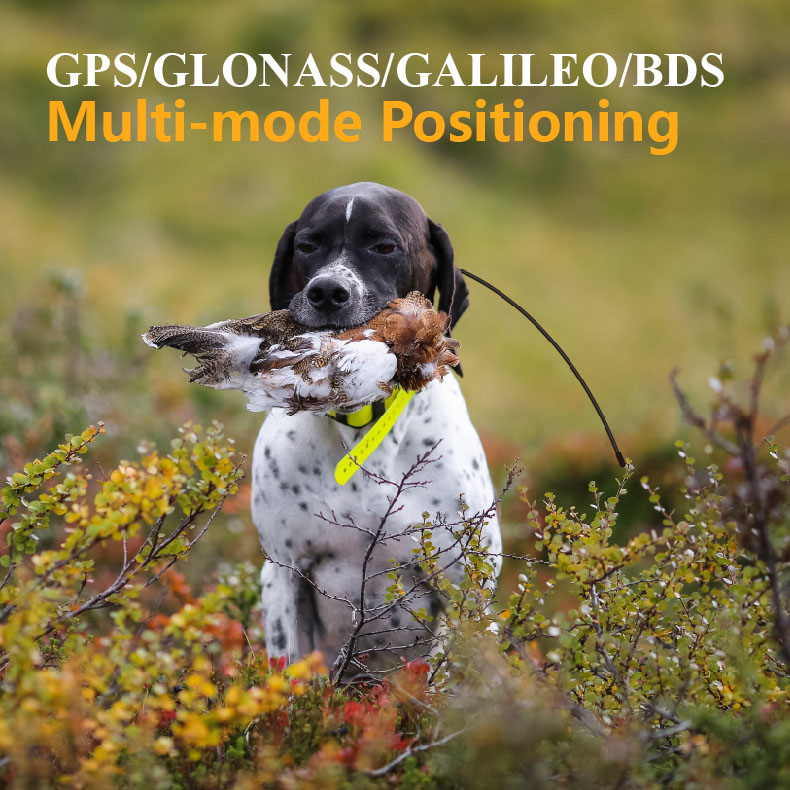 Globalny lokalizator GPS dla z – Outdoor Hunting Dog Supply recenzja i cena
